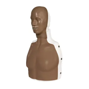 3B Scientific 12-4836 Basic Billy Cpr Simulator, Dark