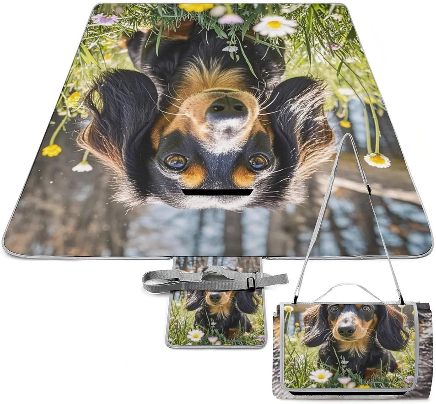 Cute Dachshund Picnic Blanket Outdoor, Oversized Beach Blanket, Foldable Lightweight Waterproof Sand Cushion Suitable for Beaches, Camping Grasslands Mat